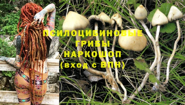 ALPHA-PVP Горняк